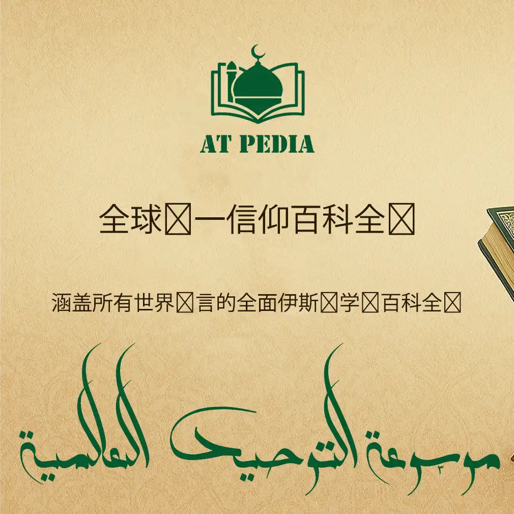 主页 -